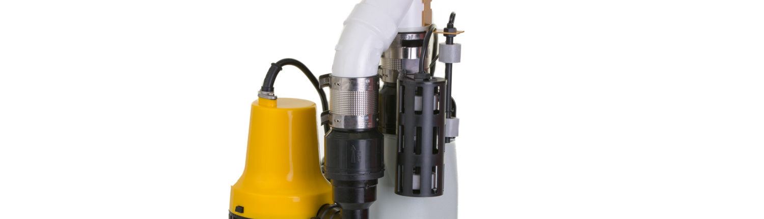 Sump pump with emergency backup pump